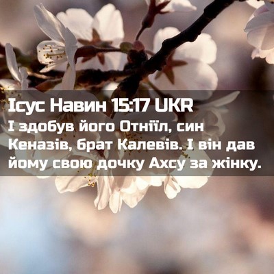 Picture 02 - Ісус Навин 15:17 UKR - І здобув його Отніїл, син - Bible Verse Picture