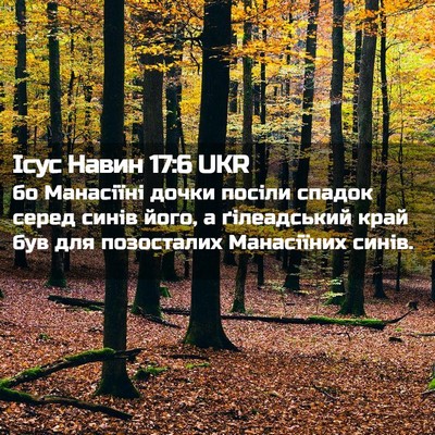 Picture 02 - Ісус Навин 17:6 UKR - бо Манасіїні дочки посіли - Bible Verse Picture