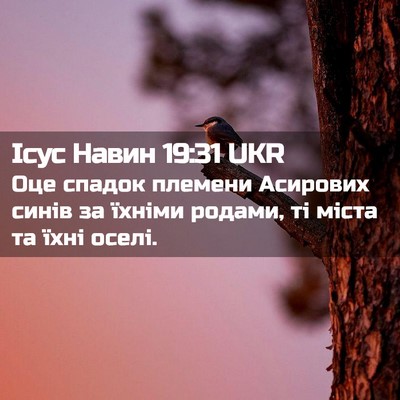 Picture 02 - Ісус Навин 19:31 UKR - Оце спадок племени - Bible Verse Picture