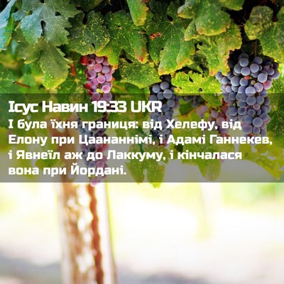 Picture 02 - Ісус Навин 19:33 UKR - І була їхня границя: від - Bible Verse Picture