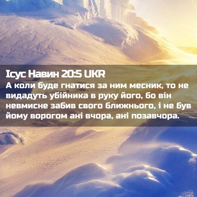 Picture 02 - Ісус Навин 20:5 UKR - А коли буде гнатися за ним - Bible Verse Picture