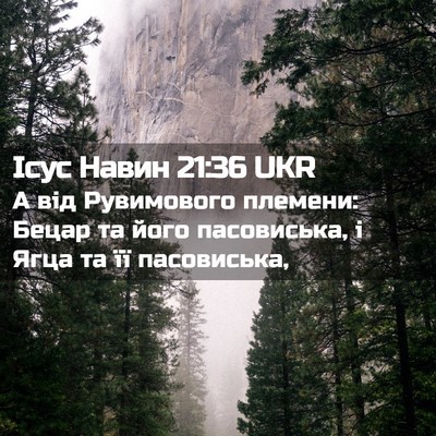 Picture 02 - Ісус Навин 21:36 UKR - А від Рувимового племени: - Bible Verse Picture