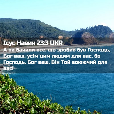 Picture 02 - Ісус Навин 23:3 UKR - А ви бачили все, що зробив - Bible Verse Picture