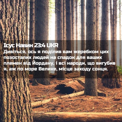 Picture 02 - Ісус Навин 23:4 UKR - Дивіться, ось я поділив вам - Bible Verse Picture