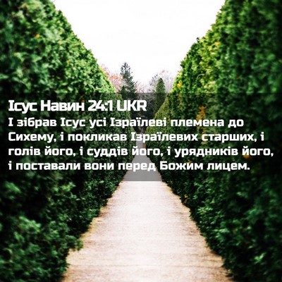 Picture 02 - Ісус Навин 24:1 UKR - І зібрав Ісус усі - Bible Verse Picture