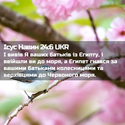 Picture 02 - Ісус Навин 24:6 UKR - І вивів Я ваших батьків із - Bible Verse Picture