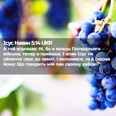 Picture 02 - Ісус Навин 5:14 UKR - А той відказав: Ні, бо я - Bible Verse Picture
