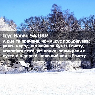 Picture 02 - Ісус Навин 5:4 UKR - А оце та причина, чому Ісус - Bible Verse Picture