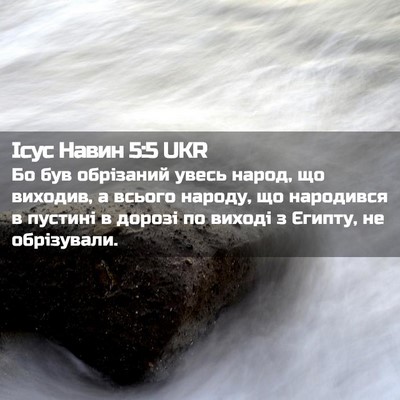 Picture 02 - Ісус Навин 5:5 UKR - Бо був обрізаний увесь - Bible Verse Picture
