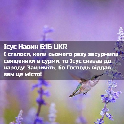 Picture 02 - Ісус Навин 6:16 UKR - І сталося, коли сьомого - Bible Verse Picture
