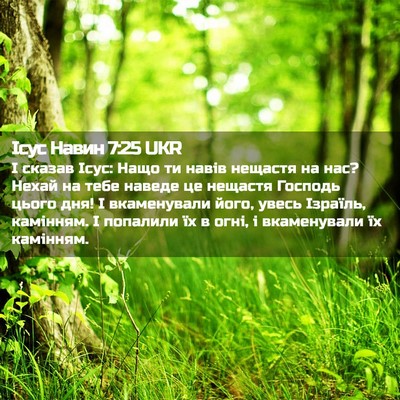 Picture 02 - Ісус Навин 7:25 UKR - І сказав Ісус: Нащо ти - Bible Verse Picture