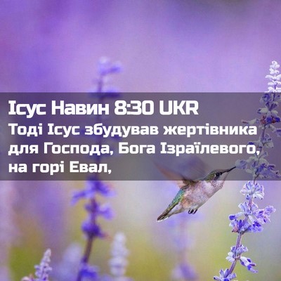 Picture 02 - Ісус Навин 8:30 UKR - Тоді Ісус збудував - Bible Verse Picture