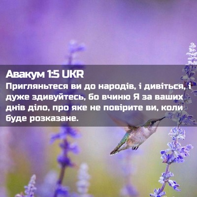 Picture 02 - Авакум 1:5 UKR - Пригляньтеся ви до - Bible Verse Picture