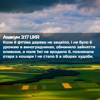 Picture 02 - Авакум 3:17 UKR - Коли б фіґове дерево не - Bible Verse Picture