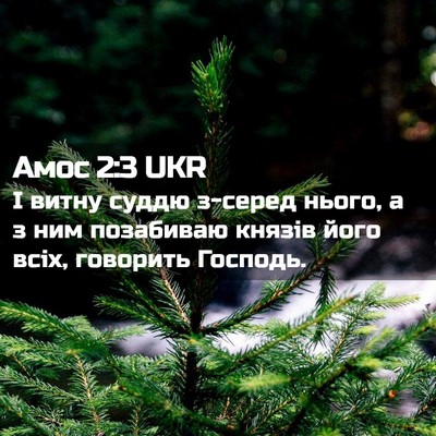 Picture 02 - Амос 2:3 UKR - І витну суддю з-серед - Bible Verse Picture
