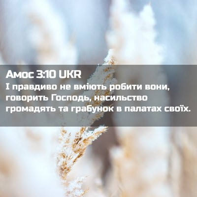 Picture 02 - Амос 3:10 UKR - І правдиво не вміють - Bible Verse Picture