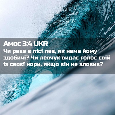 Picture 02 - Амос 3:4 UKR - Чи реве в лісі лев, як нема - Bible Verse Picture