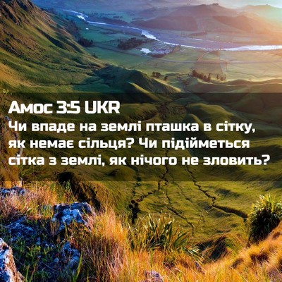 Picture 02 - Амос 3:5 UKR - Чи впаде на землі пташка в - Bible Verse Picture