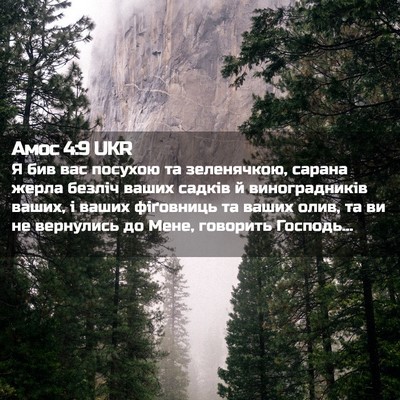 Picture 02 - Амос 4:9 UKR - Я бив вас посухою та - Bible Verse Picture