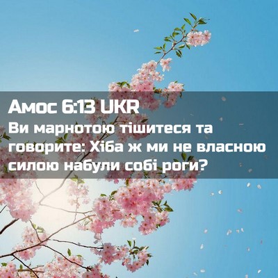 Picture 02 - Амос 6:13 UKR - Ви марнотою тішитеся та - Bible Verse Picture
