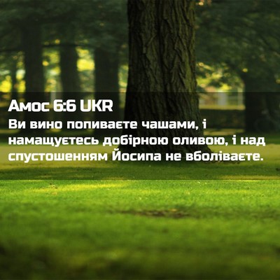 Picture 02 - Амос 6:6 UKR - Ви вино попиваєте чашами, і - Bible Verse Picture