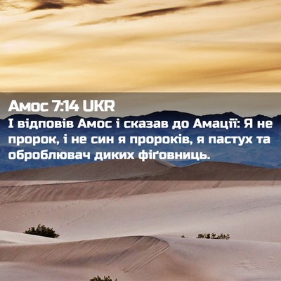 Picture 02 - Амос 7:14 UKR - І відповів Амос і сказав до - Bible Verse Picture