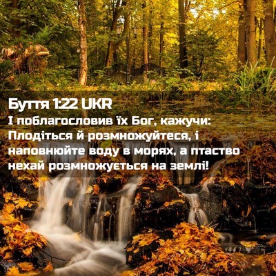 Picture 02 - Буття 1:22 UKR - І поблагословив їх Бог, - Bible Verse Picture