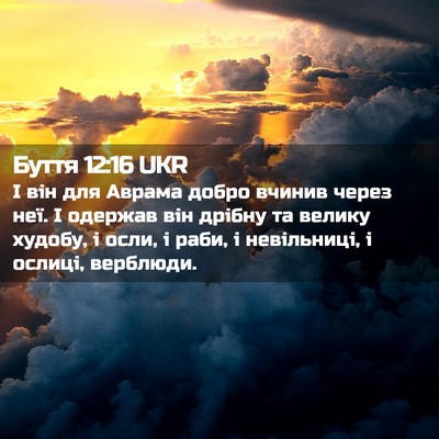 Picture 02 - Буття 12:16 UKR - І він для Аврама добро - Bible Verse Picture