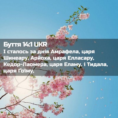 Picture 02 - Буття 14:1 UKR - І сталось за днів Амрафела, - Bible Verse Picture