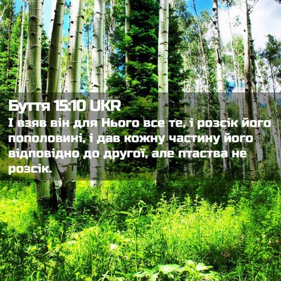 Picture 02 - Буття 15:10 UKR - І взяв він для Нього все те, - Bible Verse Picture