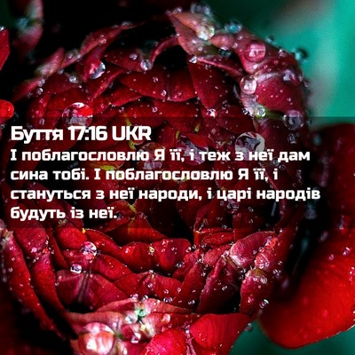 Picture 02 - Буття 17:16 UKR - І поблагословлю Я її, і теж - Bible Verse Picture