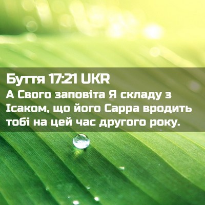Picture 02 - Буття 17:21 UKR - А Свого заповіта Я складу з - Bible Verse Picture