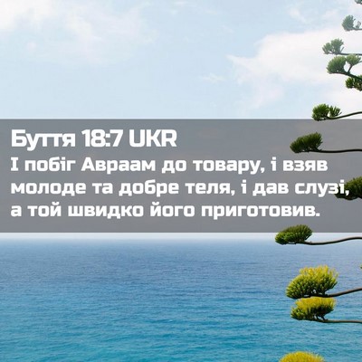 Picture 02 - Буття 18:7 UKR - І побіг Авраам до товару, і - Bible Verse Picture