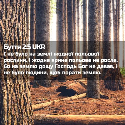 Picture 02 - Буття 2:5 UKR - І не було на землі жодної - Bible Verse Picture