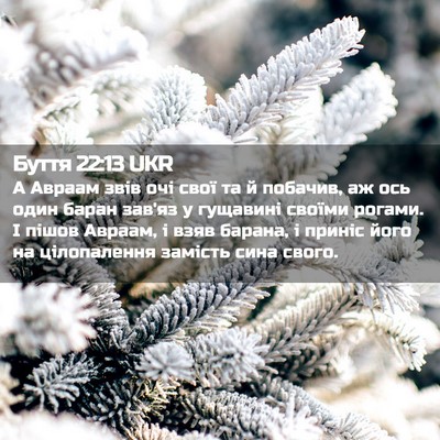 Picture 02 - Буття 22:13 UKR - А Авраам звів очі свої та й - Bible Verse Picture