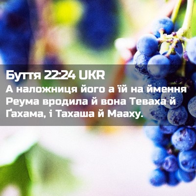 Picture 02 - Буття 22:24 UKR - А наложниця його а їй на - Bible Verse Picture