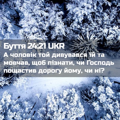 Picture 02 - Буття 24:21 UKR - А чоловік той дивувався їй - Bible Verse Picture