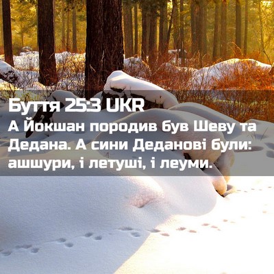 Picture 02 - Буття 25:3 UKR - А Йокшан породив був Шеву - Bible Verse Picture