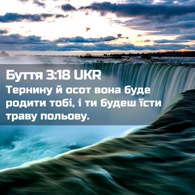 Picture 02 - Буття 3:18 UKR - Тернину й осот вона буде - Bible Verse Picture