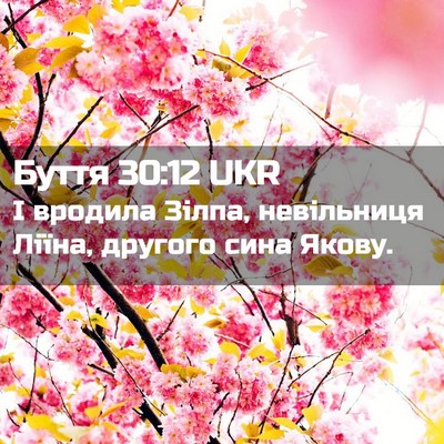Picture 02 - Буття 30:12 UKR - І вродила Зілпа, - Bible Verse Picture