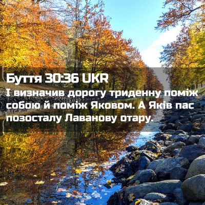 Picture 02 - Буття 30:36 UKR - І визначив дорогу триденну - Bible Verse Picture