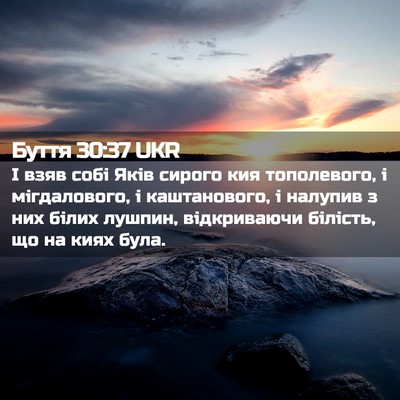 Picture 02 - Буття 30:37 UKR - І взяв собі Яків сирого кия - Bible Verse Picture