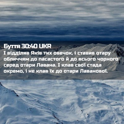 Picture 02 - Буття 30:40 UKR - І відділяв Яків тих овечок, - Bible Verse Picture
