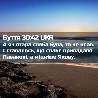 Picture 02 - Буття 30:42 UKR - А як отара слаба була, то не - Bible Verse Picture