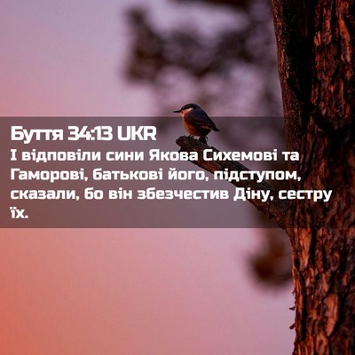 Picture 02 - Буття 34:13 UKR - І відповіли сини Якова - Bible Verse Picture