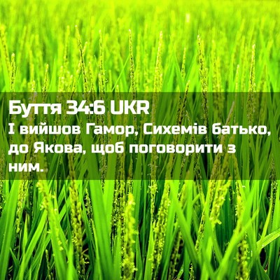 Picture 02 - Буття 34:6 UKR - І вийшов Гамор, Сихемів - Bible Verse Picture