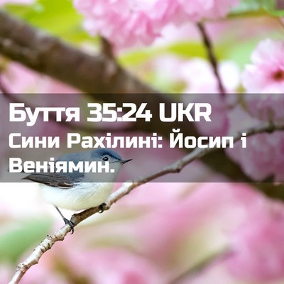 Picture 02 - Буття 35:24 UKR - Сини Рахілині: Йосип і - Bible Verse Picture