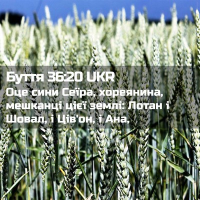 Picture 02 - Буття 36:20 UKR - Оце сини Сеїра, хореянина, - Bible Verse Picture