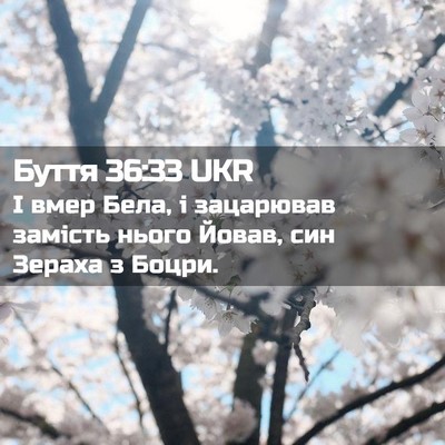 Picture 02 - Буття 36:33 UKR - І вмер Бела, і зацарював - Bible Verse Picture