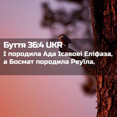 Picture 02 - Буття 36:4 UKR - І породила Ада Ісавові - Bible Verse Picture